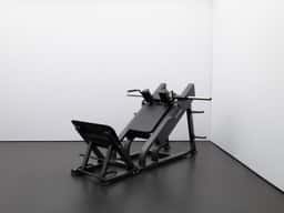 FL1811 Adjustable Hack Squat-1