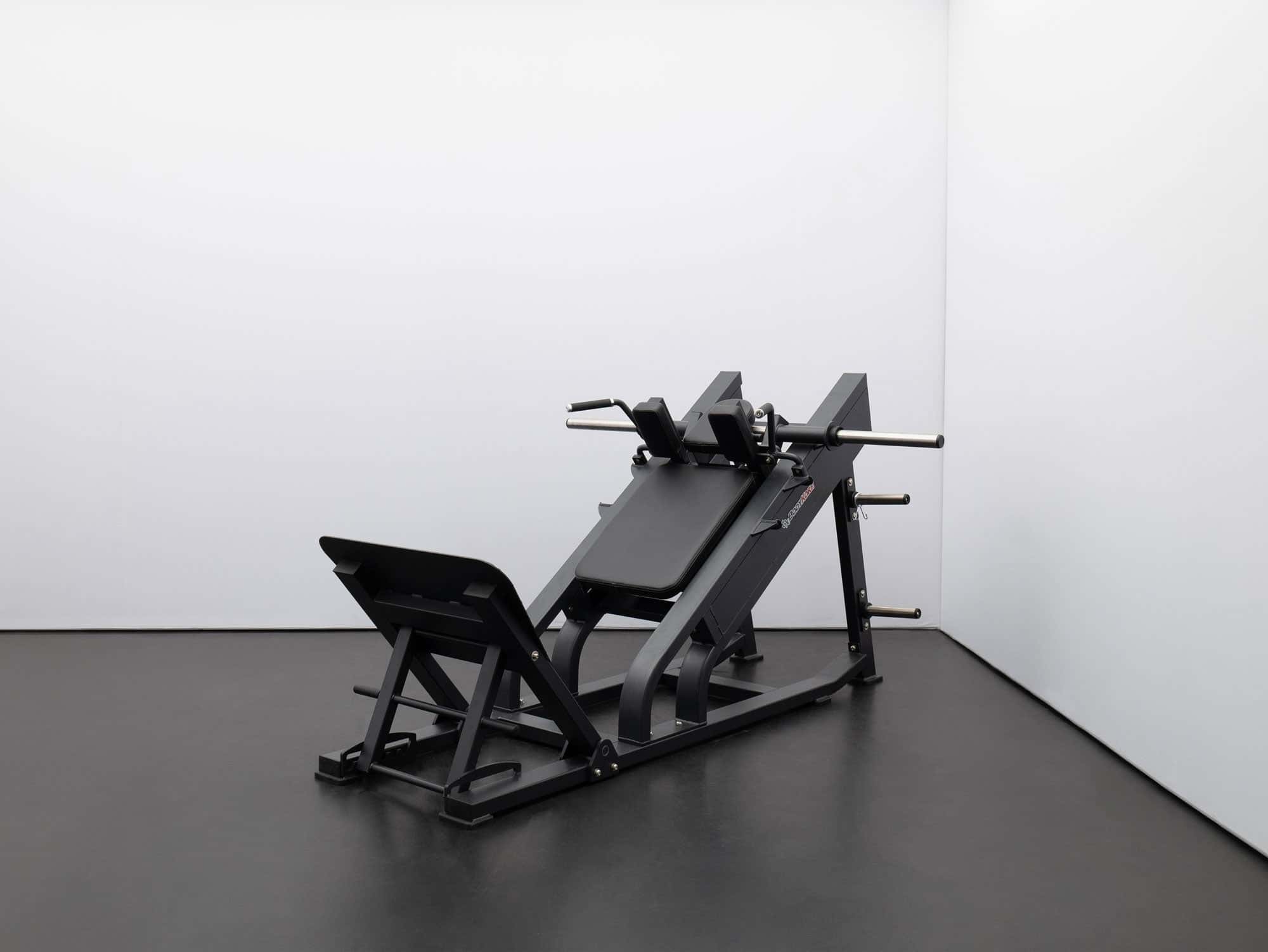 FL1811 Adjustable Hack Squat-1