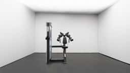 GR605 Lateral Raise-3