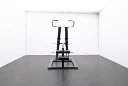 GR806 Plate Loaded Pull Down-1