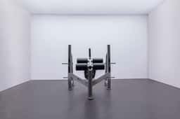 CF2153 Olympic Decline Press-2