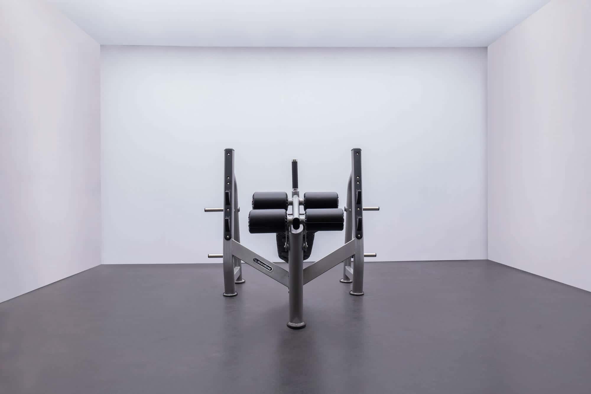 CF2153 Olympic Decline Press-2