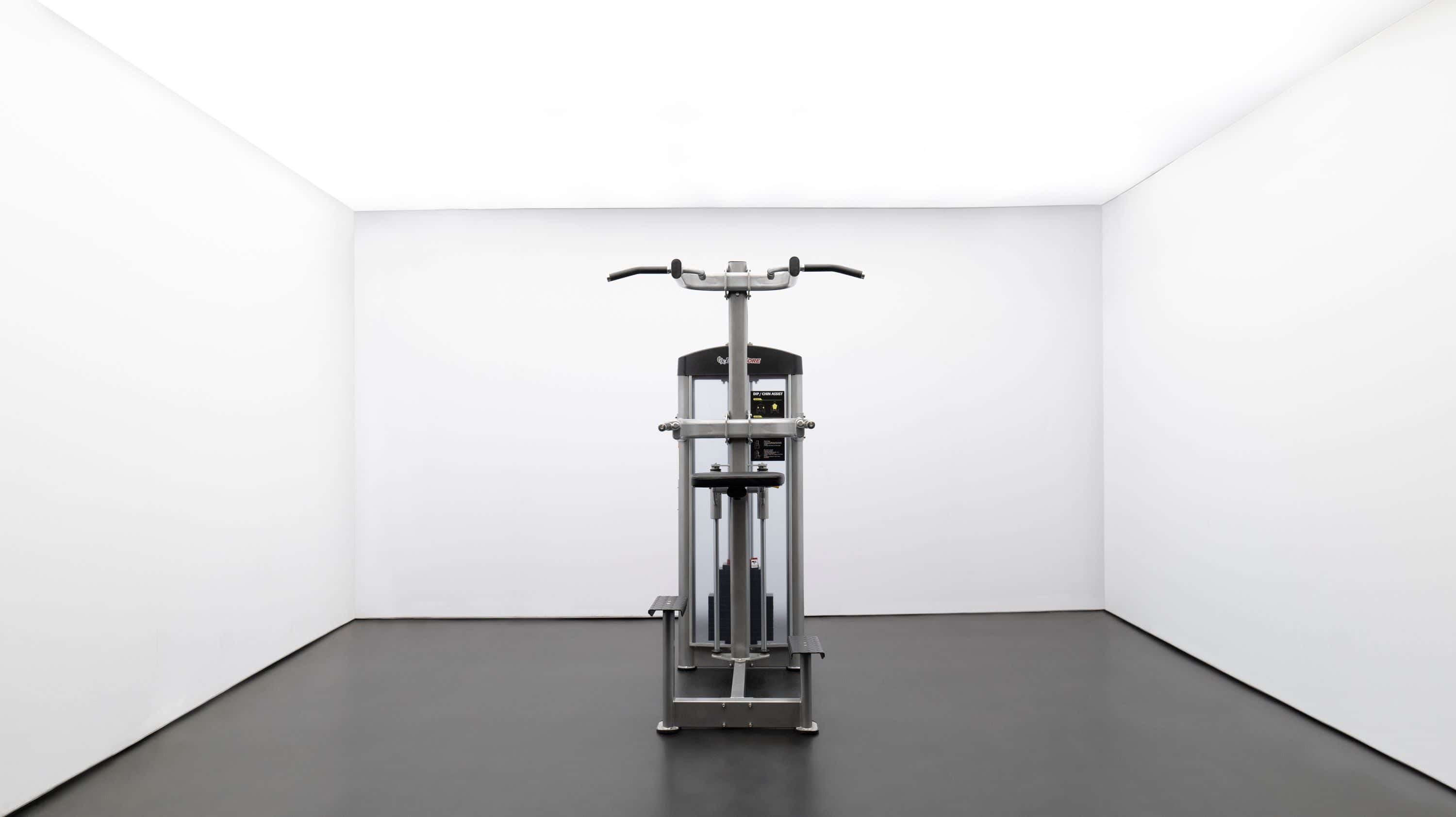 GR636 Chin/Dip Assist-1