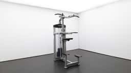 GR636 Chin/Dip Assist-2