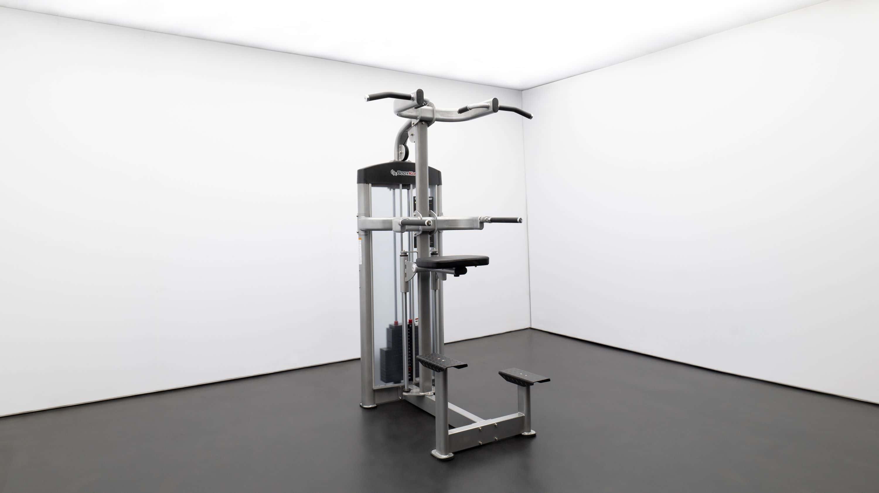 GR636 Chin/Dip Assist-2