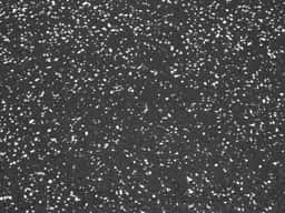 Rubber Flooring- 8mm (White Speckled) - Rubber Rolls-5