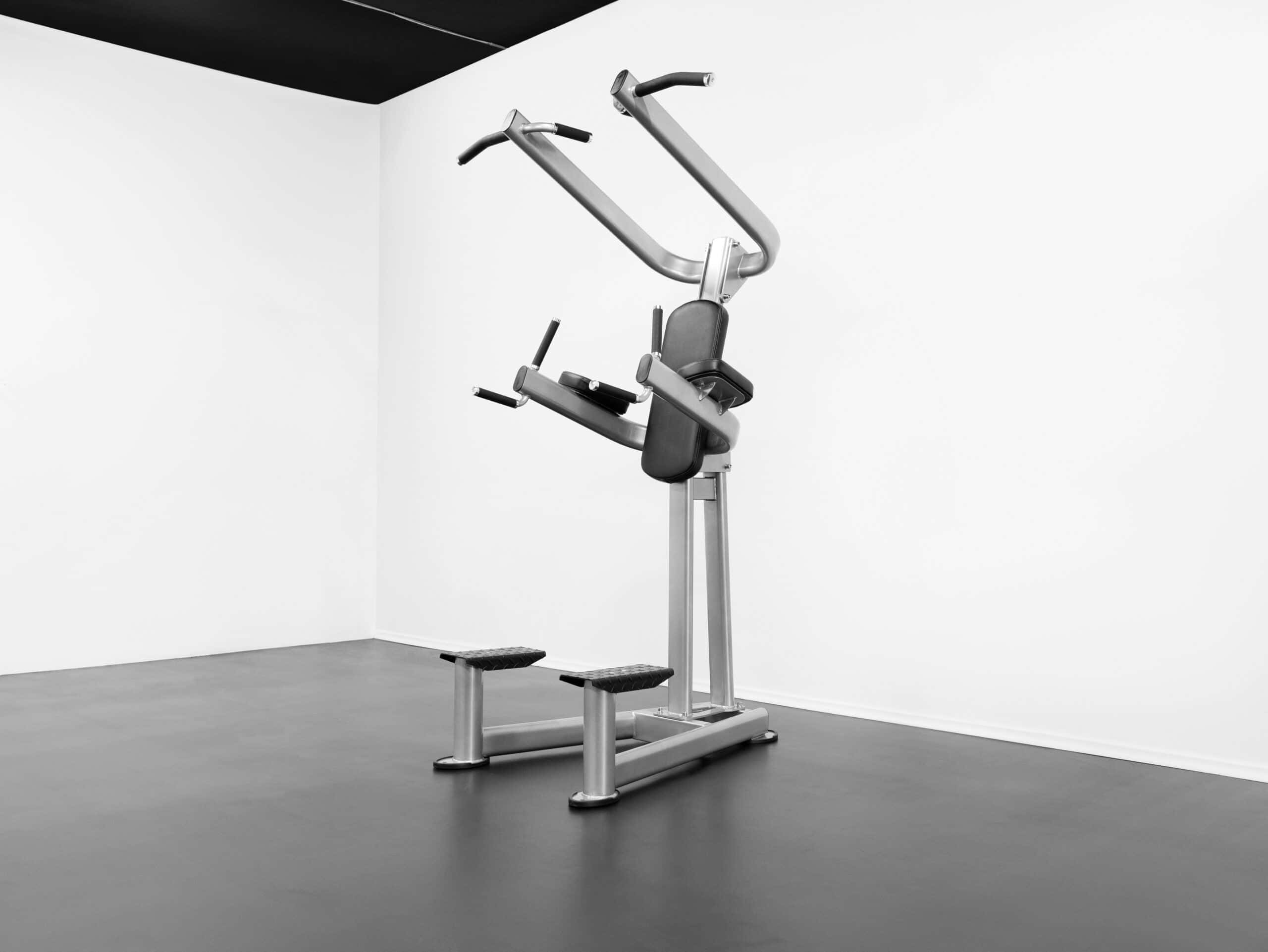 CF2110 Chin Dip Tower-2