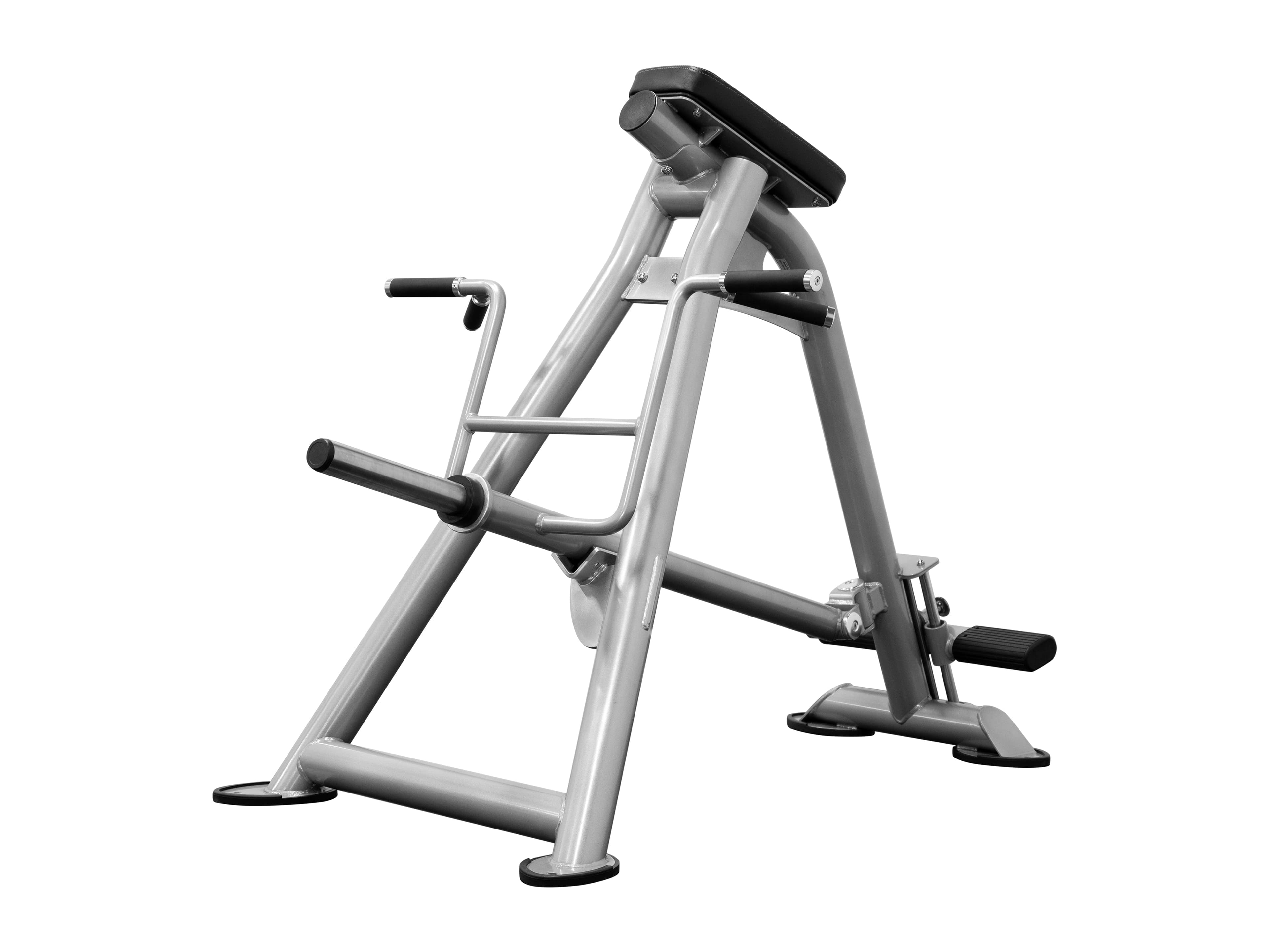 CF2173 Standing T-Bar Row