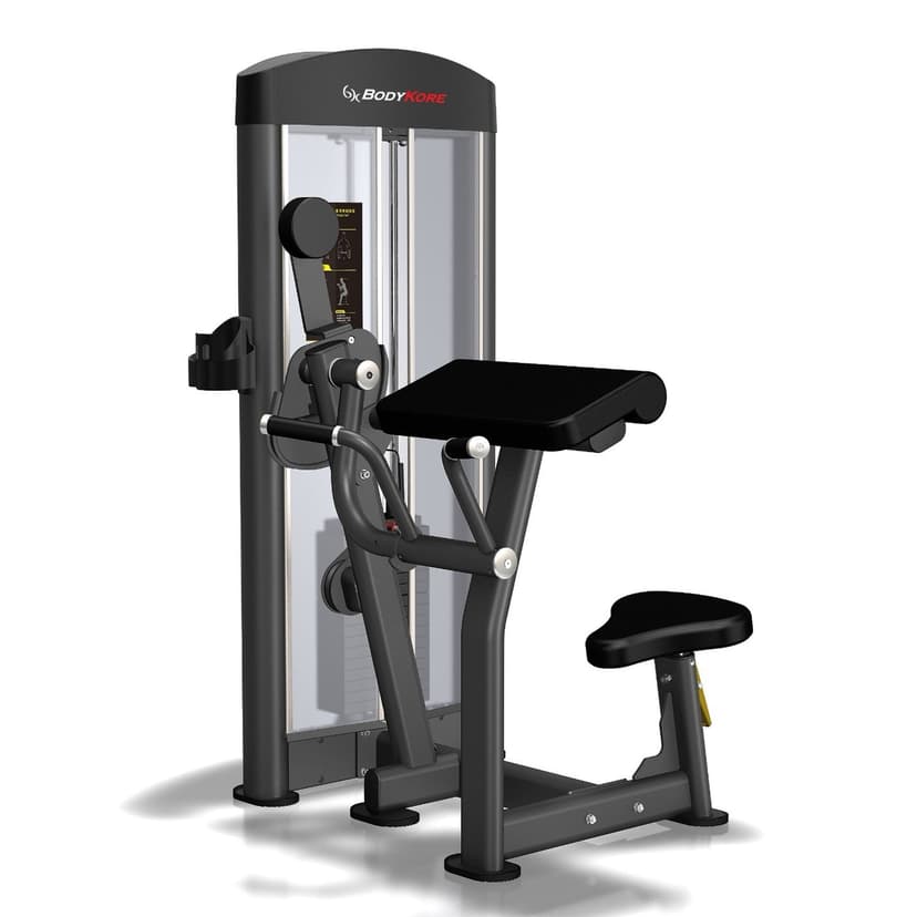 GR609 Selectorized Bicep Curl