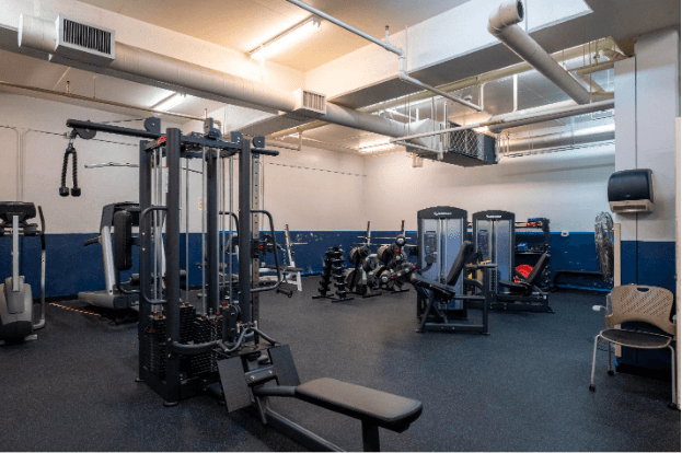 Descriptive Alt Text