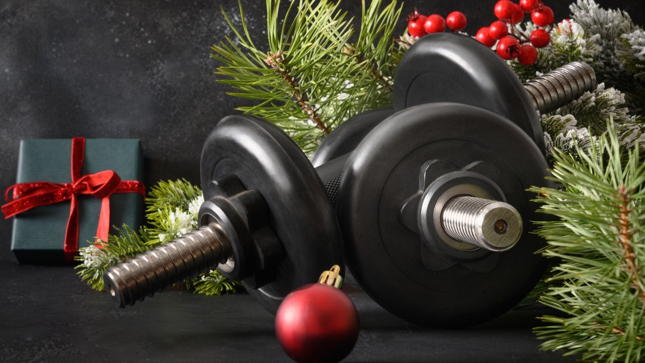 BodyKore 2024 Holiday Gift Guide