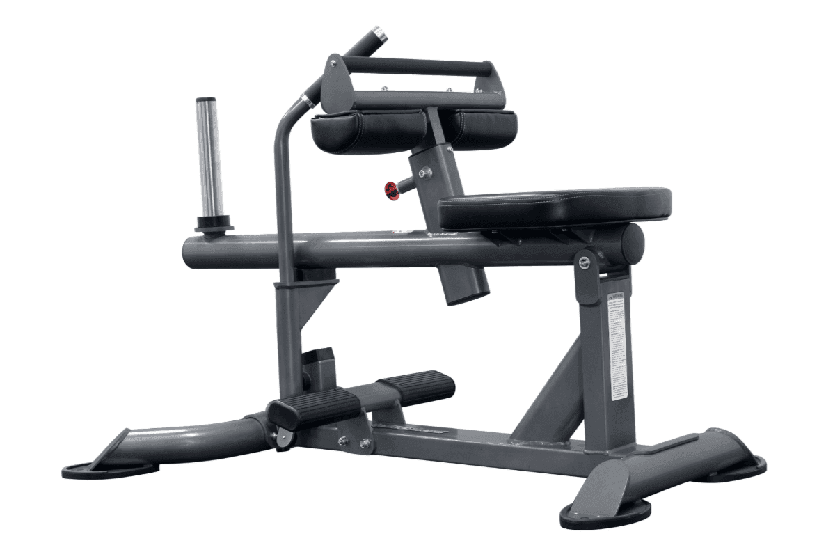 Maximize Your Abdominal Workout with the Leg Raise Machine